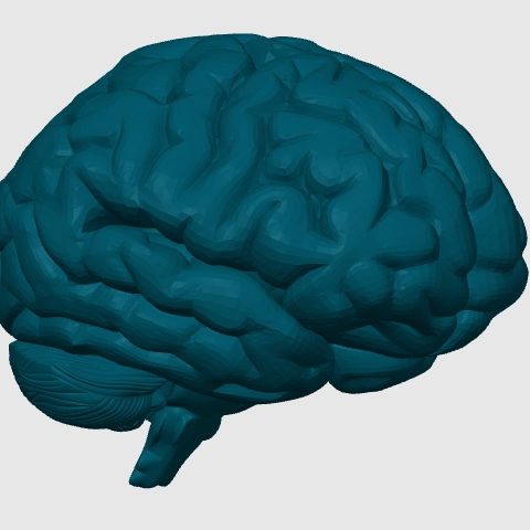 Dark Brain