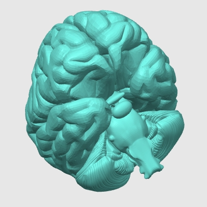 Light Brain
